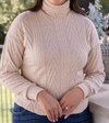 Beige Turtle Neck Knit Sweater