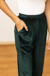 Velvet Straight-Leg Pants, Green