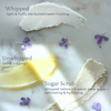 Capsule Skincare Kit